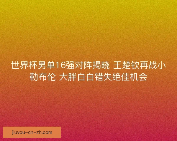 世界杯男单16强对阵揭晓 王楚钦再战小勒布伦 大胖白白错失绝佳机会