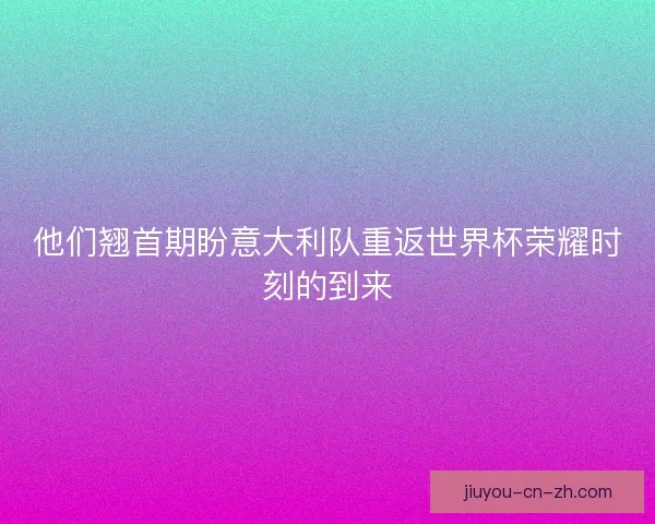 他们翘首期盼意大利队重返世界杯荣耀时刻的到来